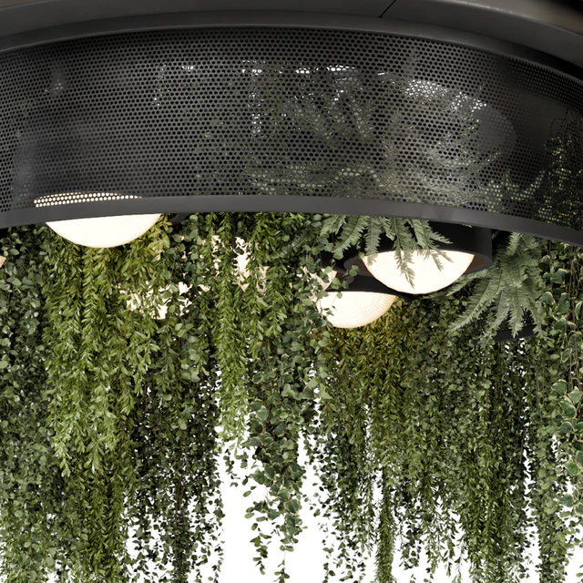 Indoor Hanging Plants in Metal Box - Set 1506 — Descargar