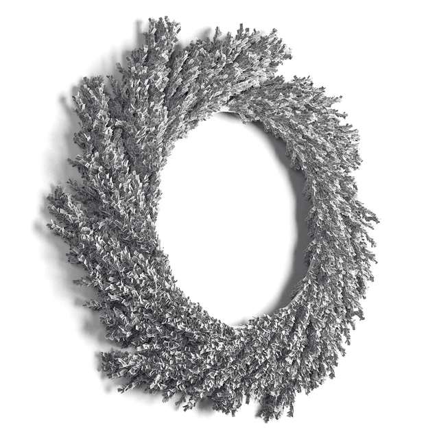 Pampas wreath — Descargar