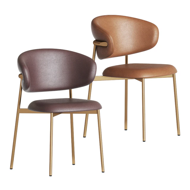 Calligaris Oleandro Dining Chair — Descargar