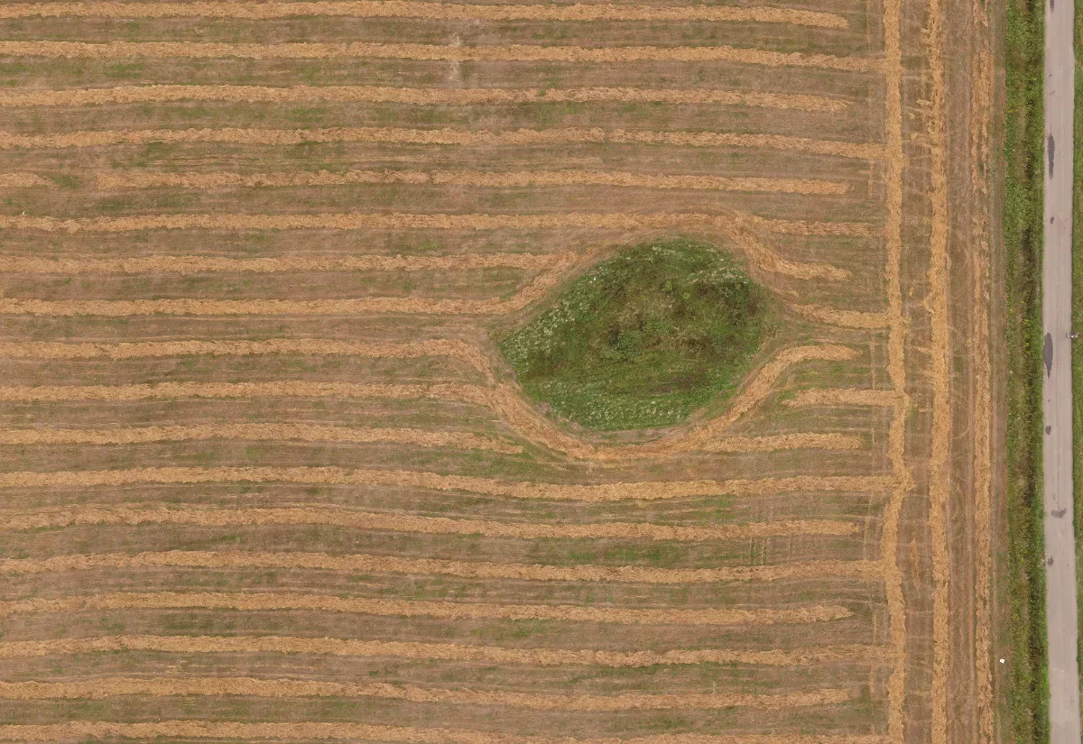 field summer 048 — Descargar