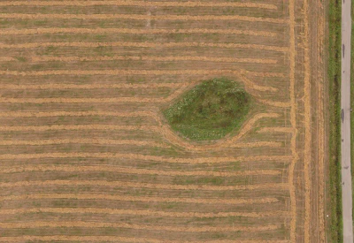 field summer 048 — Descargar