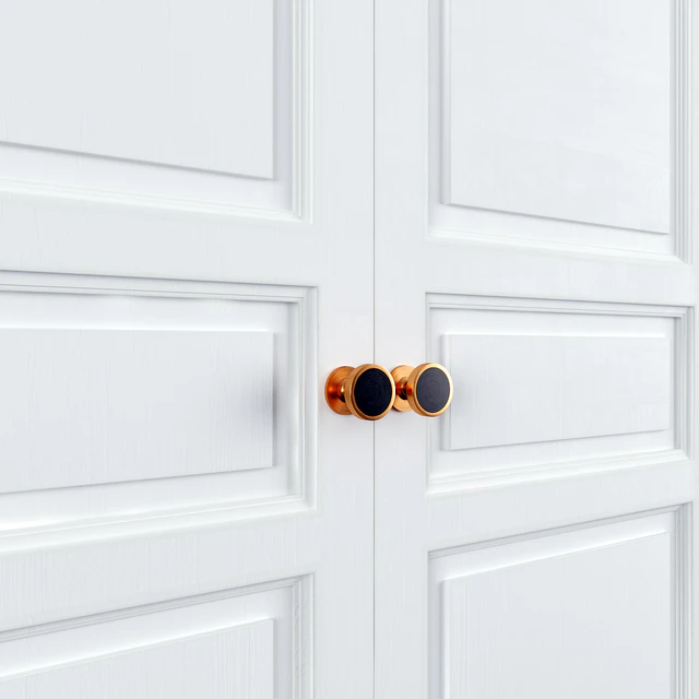 Set of classic doors — Descargar