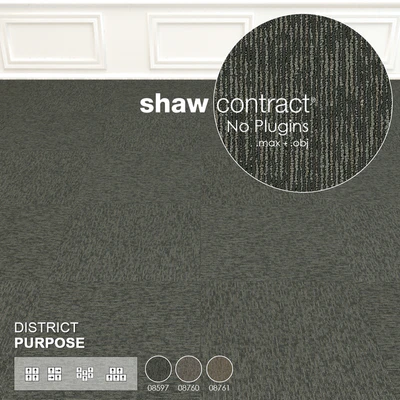 Shaw Carpet District Purpose Wall to Wall Floor No 1 — Ver 2