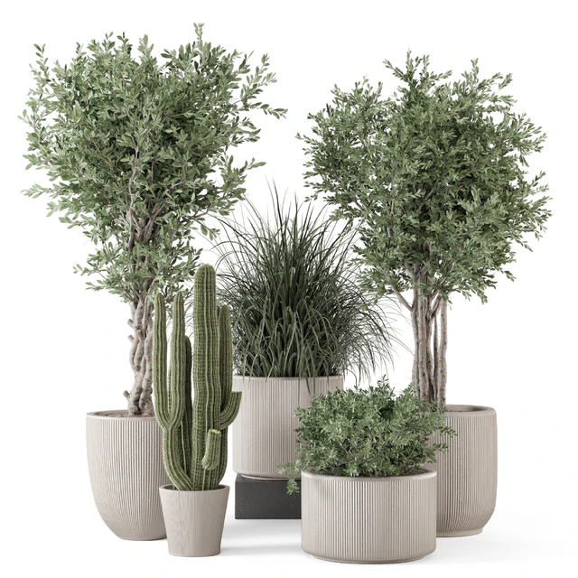 Indoor Plants  in rusty Concrete Pot - Set 1911 — Скачать