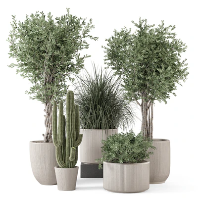 Indoor Plants  in rusty Concrete Pot - Set 1911 — Вид 1