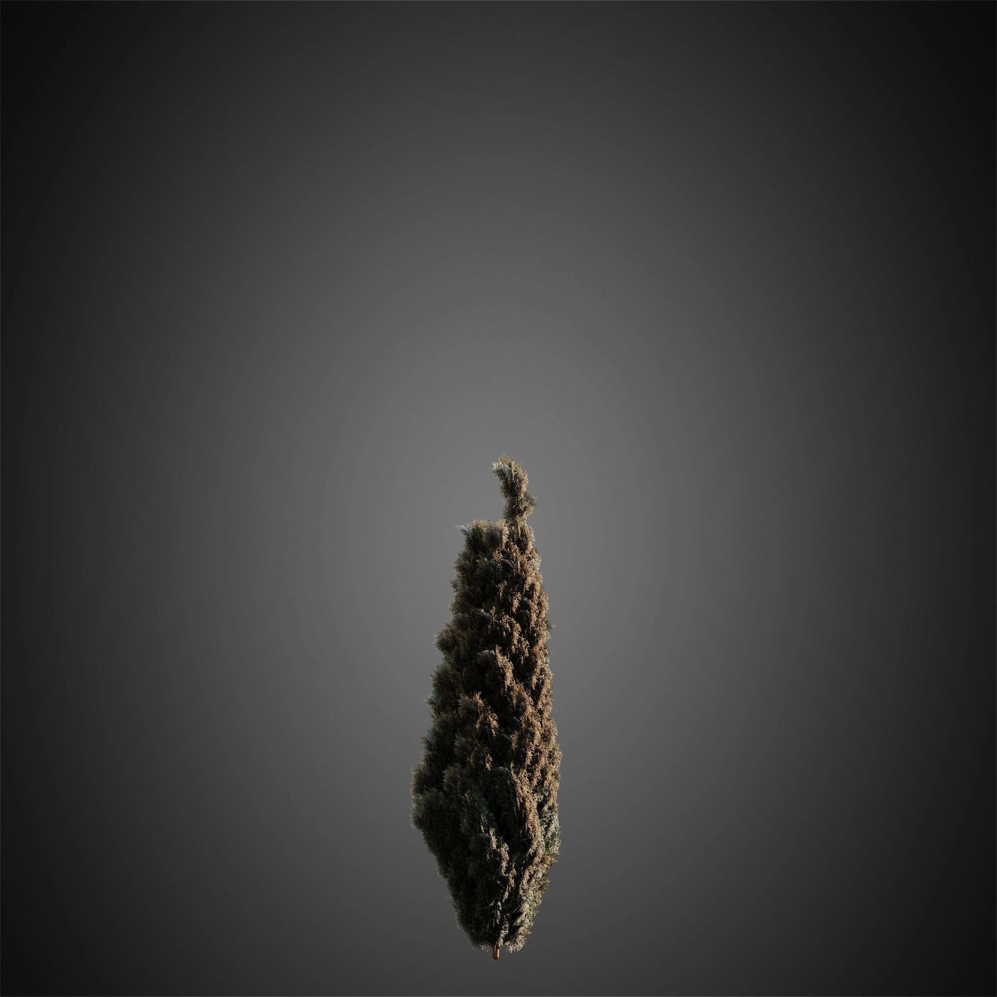 010 — Descargar