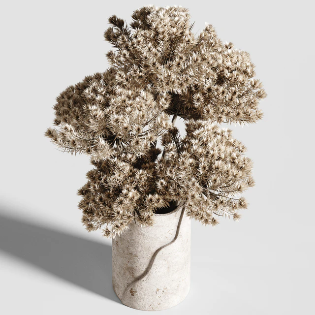 Bouquet H16 — Скачать