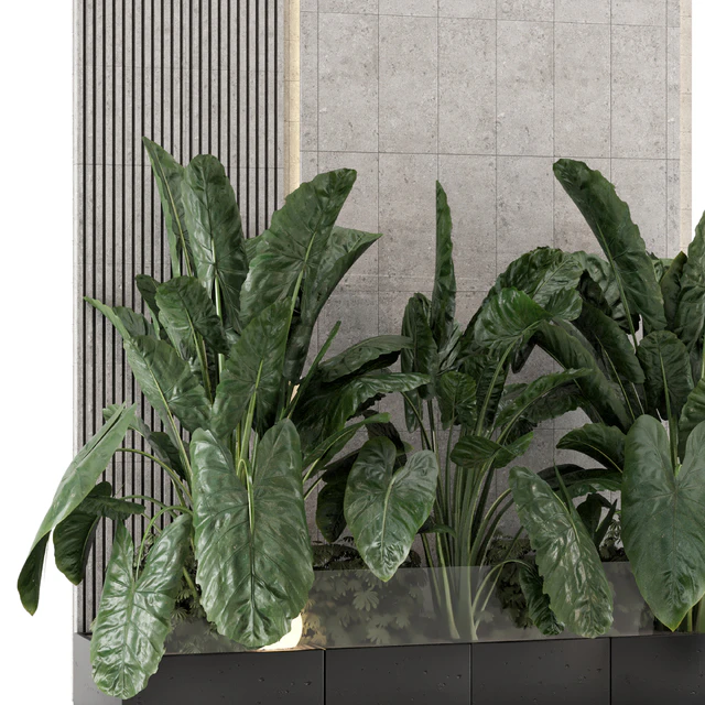 Indoor Wall  Big Green Leaf Garden in Concrete Base - Set 1770 — Скачать
