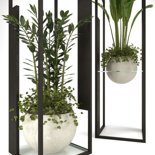 Collection Indoor Plants Nim12 — Скачать