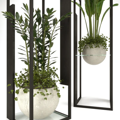 Collection Indoor Plants Nim12 — Вид 6