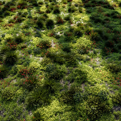 Grass set 1 — Вид 2