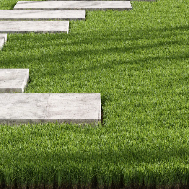 Decorative Floor Grass — Descargar
