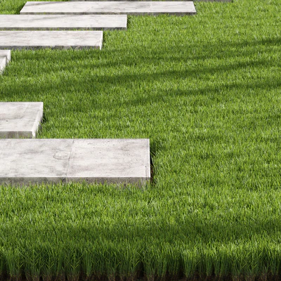 Decorative Floor Grass — Ver 5