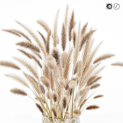Dry flowers in glass vase — Ver 3