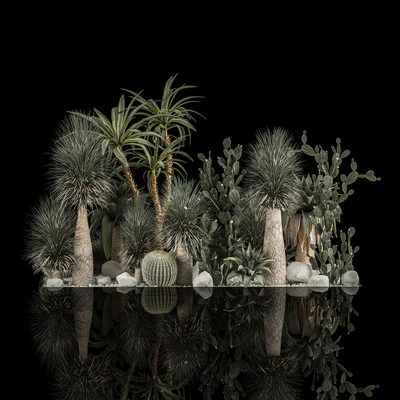 Collection of tropical plants of the desert 1117. cactus, yucca, prickly pear, thickets, bushes, garden, dracaena — Ver 4