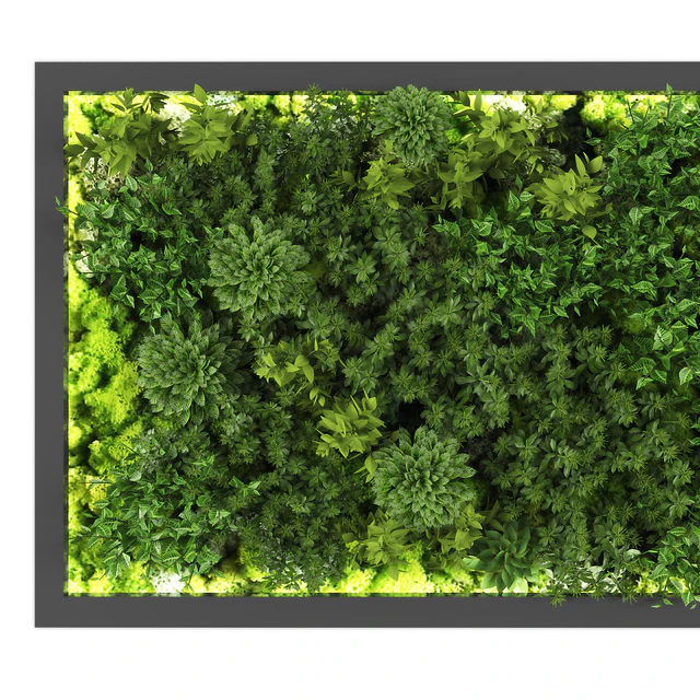vertical garden169 — Descargar