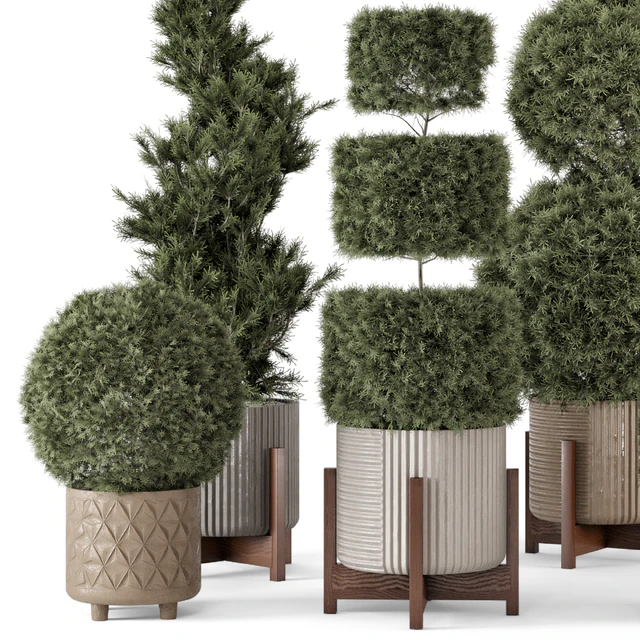 Outdoor Pine Plants  in Concrete Pot - Set 522 — Скачать