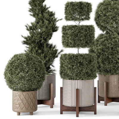Outdoor Pine Plants  in Concrete Pot - Set 522 — Вид 4