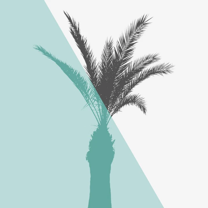 motionmask 002 — Скачать