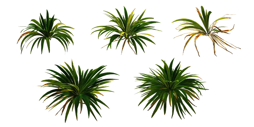wall iris 001 — Скачать