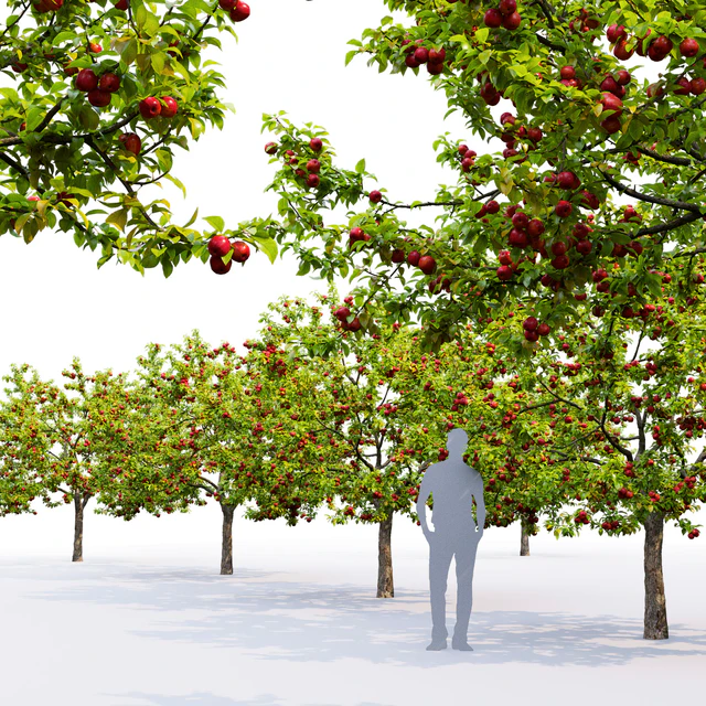 Apple tree — Скачать