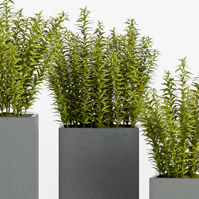 PLANT -15 — Скачать