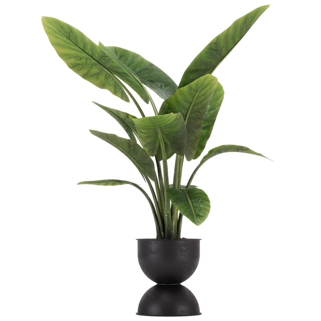 indoor plant set 36 — Descargar