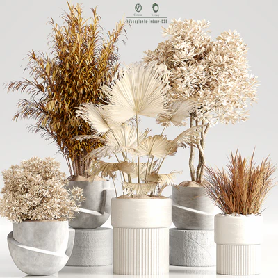 Indoor Plant Set 35 Dry Plants — Вид 1