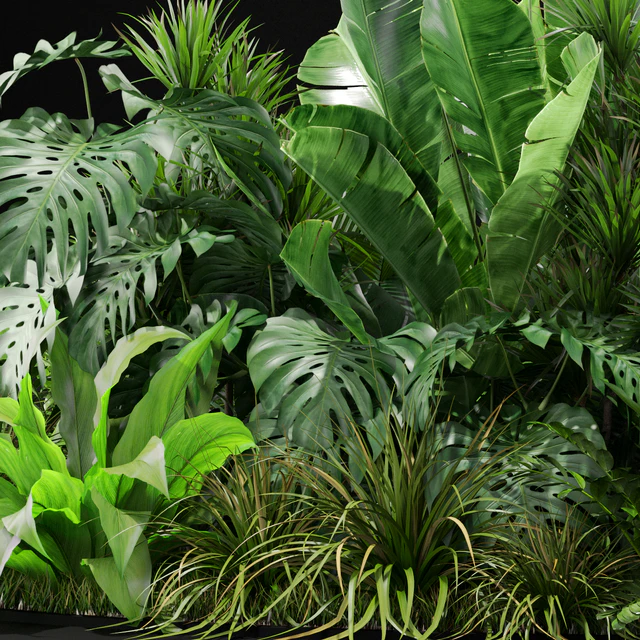 Plants collection 445 — Descargar