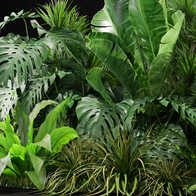 Plants collection 445 — Ver 4