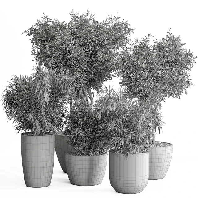 indoor Plant Set 417 - Tree and Bush — Descargar