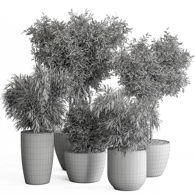 indoor Plant Set 417 - Tree and Bush — Ver 4