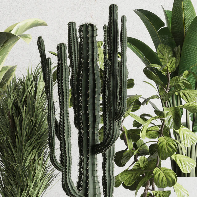 Plant box Indoor outdoor plant 163 wooden and concrete dirt vase box pot palm cactus Collection — Descargar