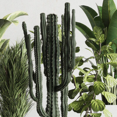 Plant box Indoor outdoor plant 163 wooden and concrete dirt vase box pot palm cactus Collection — Ver 3