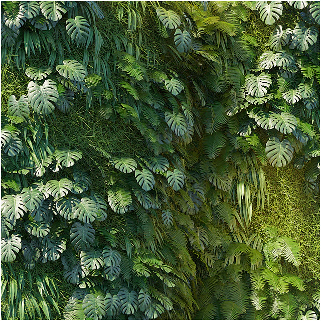 Phytowall 1 — Descargar