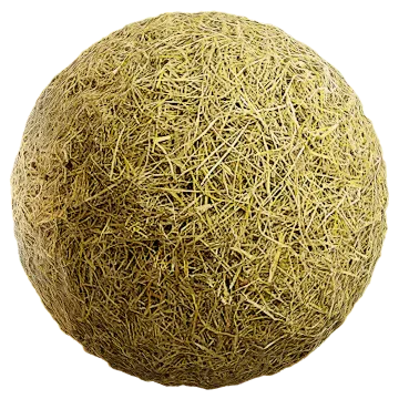 grass dried 078 — Скачать