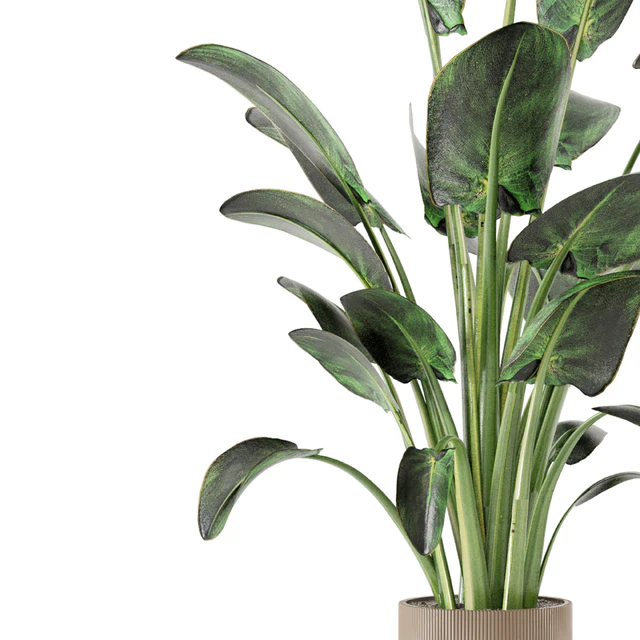 Indoor Plants  in rusty Concrete Pot - Set 582 — Скачать