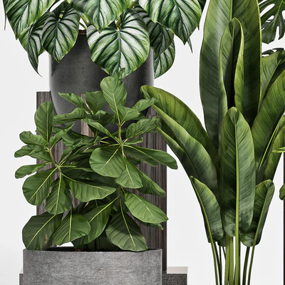 plant set-112 — Вид 2