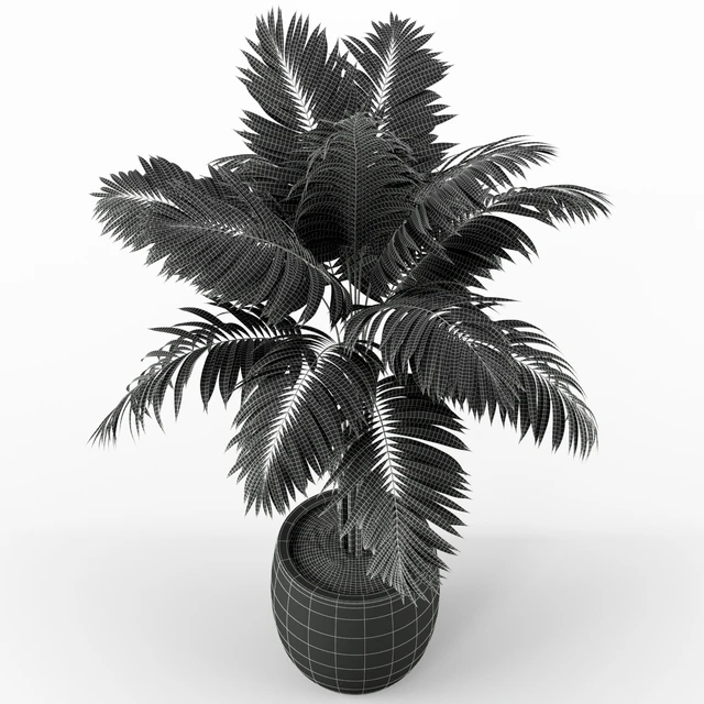 Plants collection 220 — Descargar