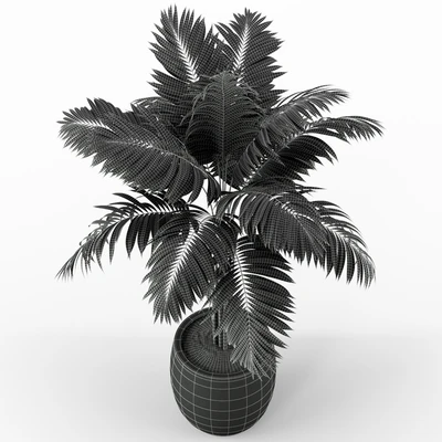 Plants collection 220 — Ver 4