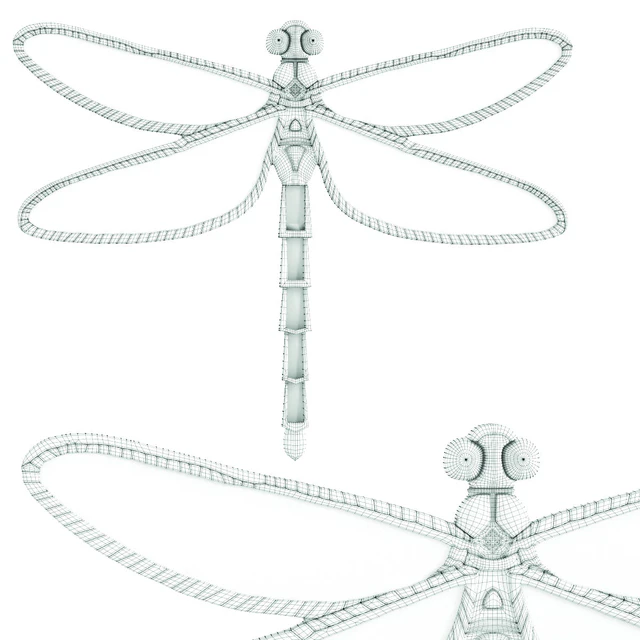 Wall Decoration Dragonfly Mirror — Скачать