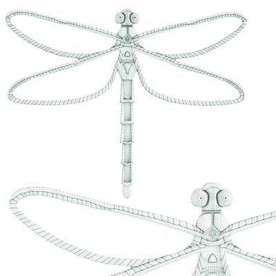 Wall Decoration Dragonfly Mirror — Вид 2