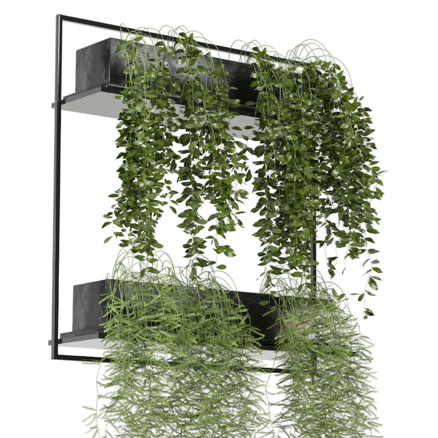 indoor hanging plants in metal box set 142 — Скачать