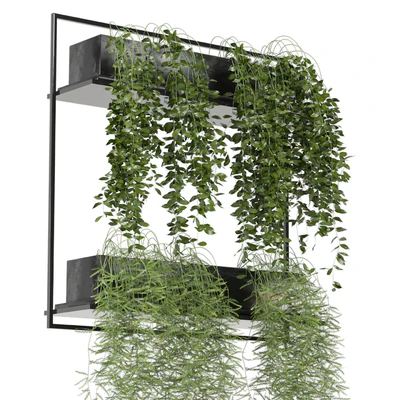 indoor hanging plants in metal box set 142 — Вид 3