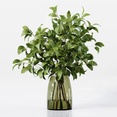 Collection Indoor Plants 041 — Вид 5