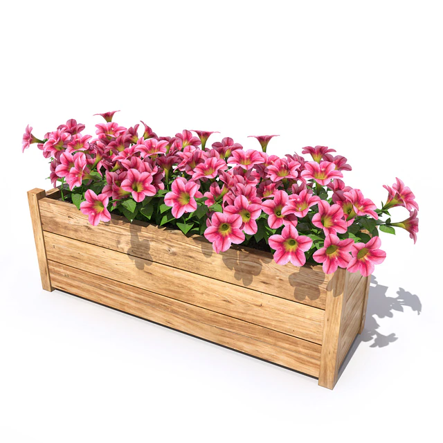 Petunia — Скачать