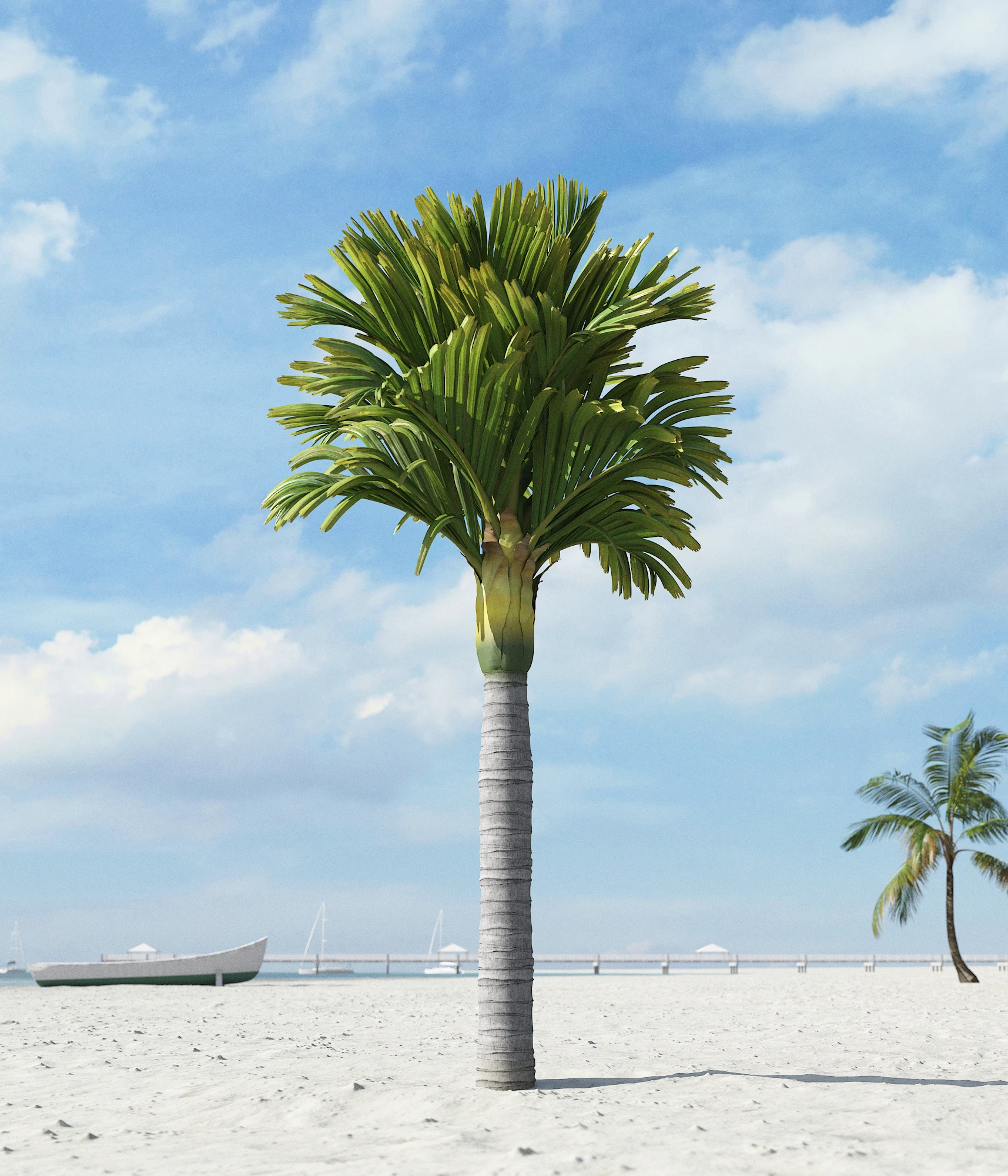 palm trees 036 — Скачать