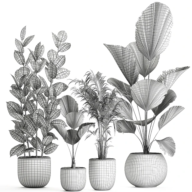 Collection of small beautiful plants in black pots with Licuala, palm, ficus. Set 664. — Descargar