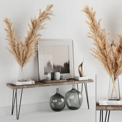 Decoration Set 01 pampas & Console — Ver 1