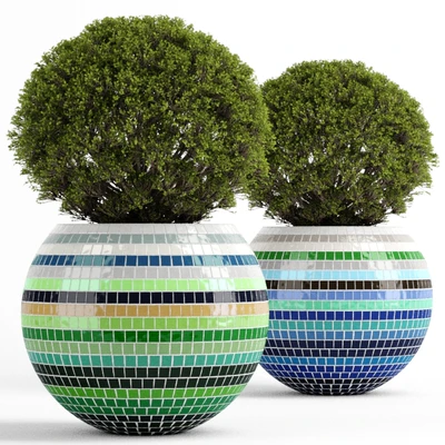 Box tree with Mosaic Pot — Ver 1